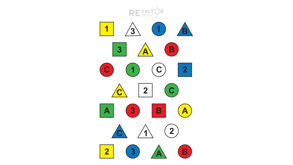 RE Factor Tactical IQ Target - Pistol RFTGTIQP10PK