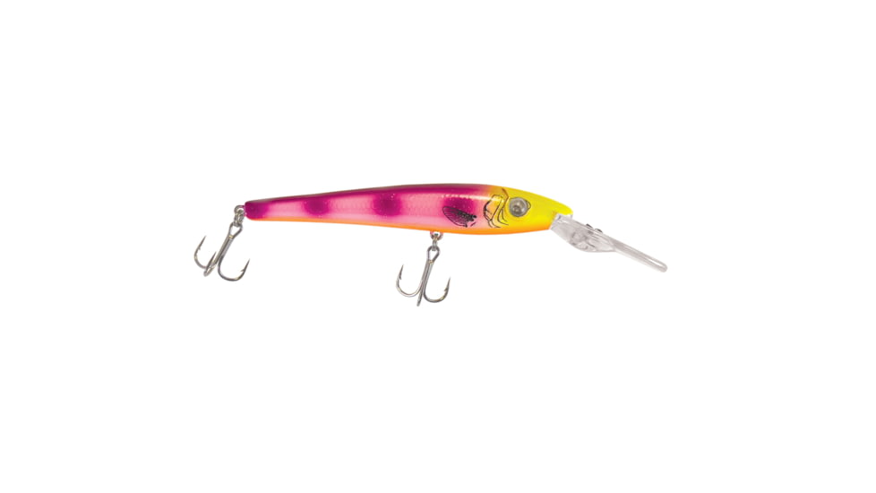 Reef Runner Jr Reef Stalker, Mardi Gras, 900JR-311