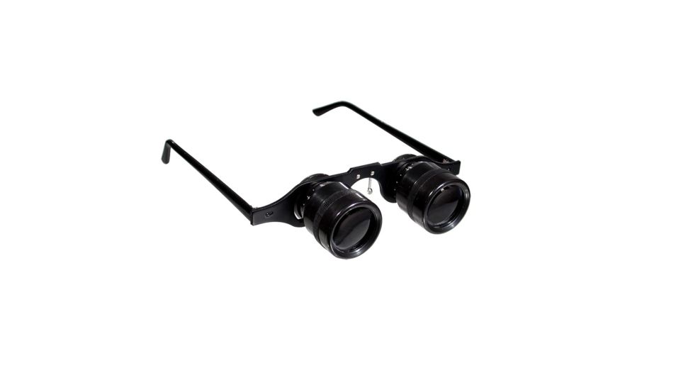 Reizen 2.8X Sport Glasses, Black R-7229