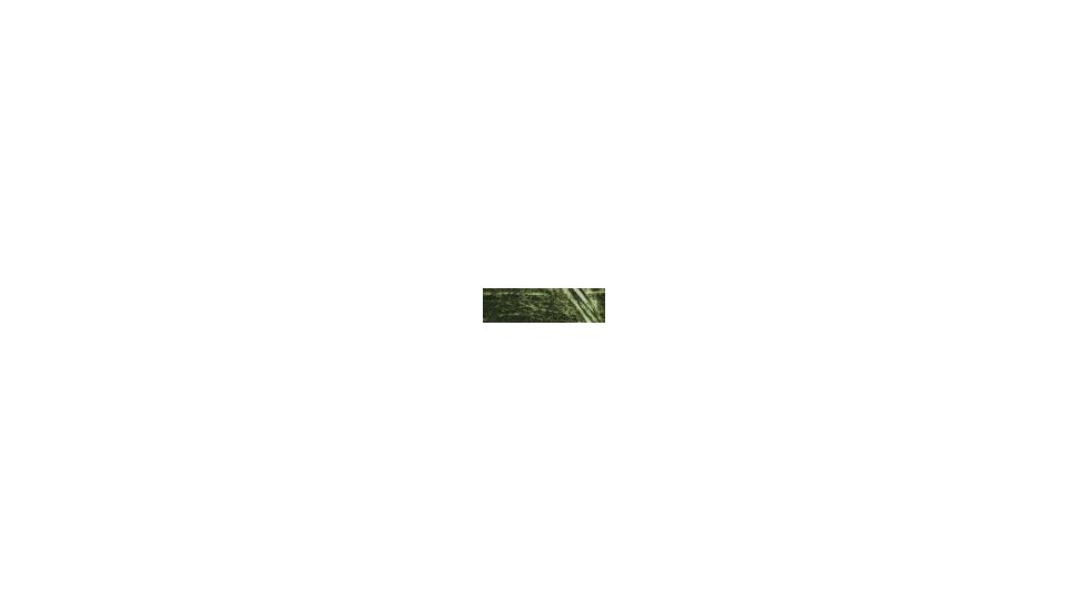 Remington Sporting Dog Deluxe Nylon Leash, Camo Grassy Field, 1 in. Double Training Lead, 6 ft. R2906-GFL06