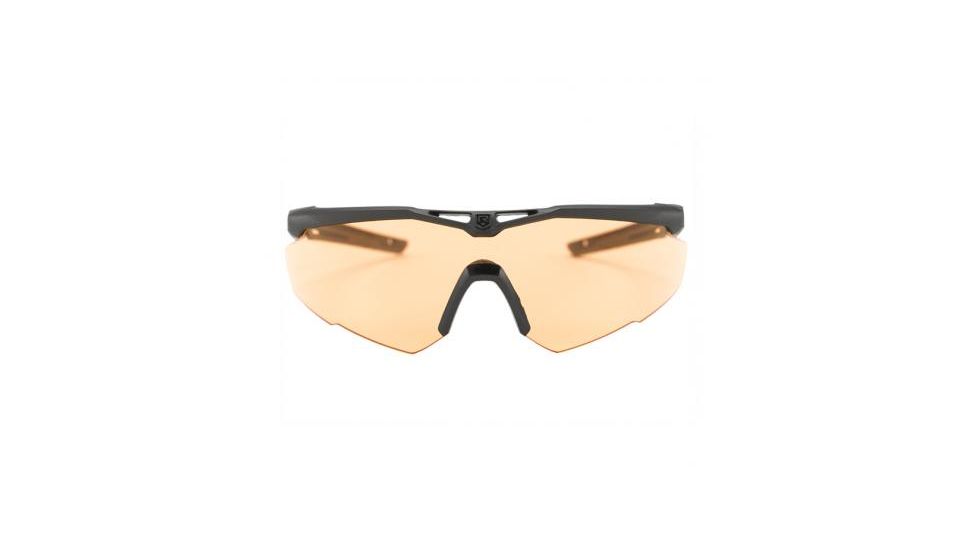 Revision Stingerhawk Eyewear System US Military Kit,Black Frame,Clear and Smoke Lens,Head Strap,Microfiber Pouch and Case 4-0152-0001