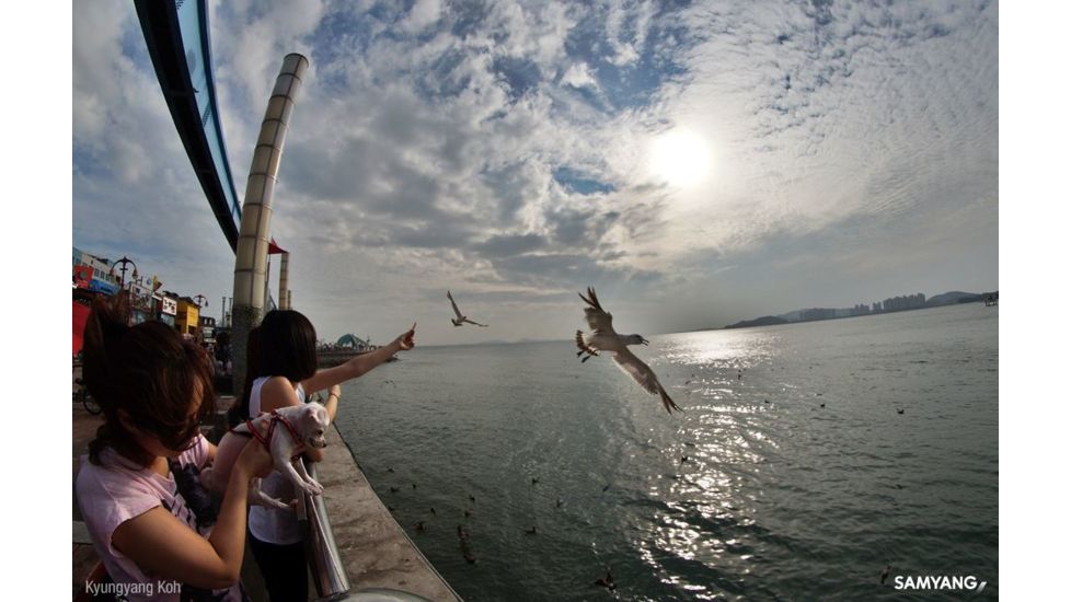 Rokinon 8mm F3.5 Fisheye Camera Lens for Olympus 4/3 Mount, Black FE8M-O