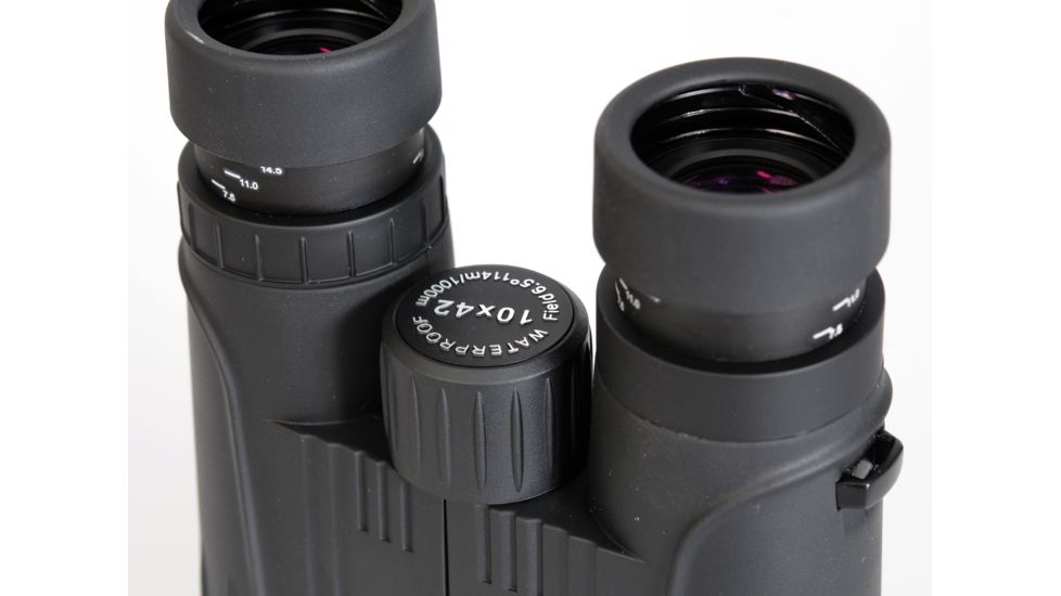 Rudolph Optics 10x42 HD Light Weight Binocular, Black 6009880275106