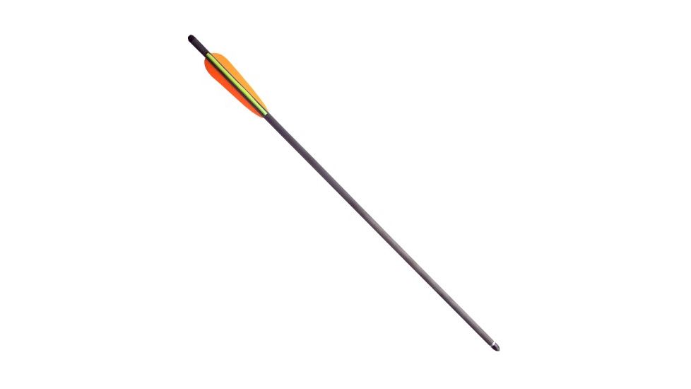 SA Sports Outdoor Gear 20 Inch Carbon Bolts, 6 Pack 6305778