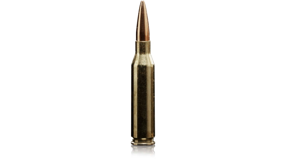 Sako TRG Precision .260 Rem 136 Grain Open Tip Match Boat-Tail Brass Cased Rifle Ammo, 20 Rounds, C661160HSA10XBX