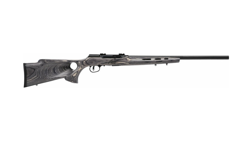 Savage Arms A22 Semi-Auto Rifle, .22 Winchester Magnum Rimfire, 22in Barrel