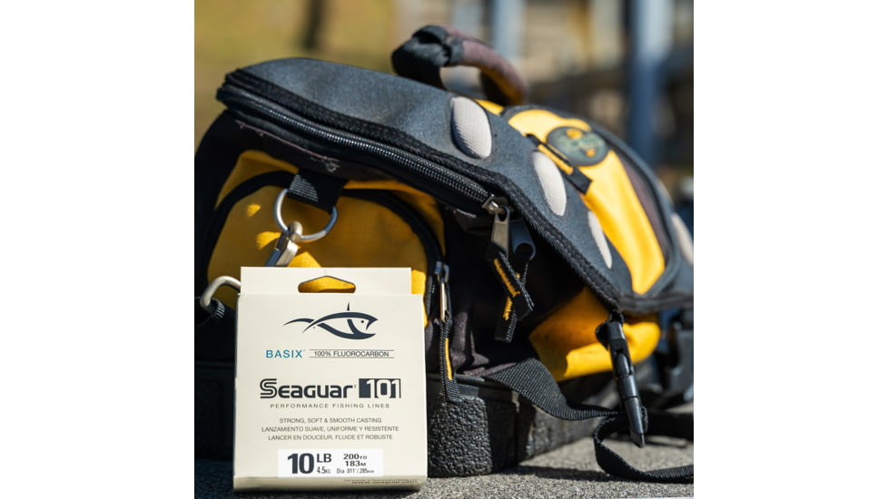 Seaguar BasiX Fishing Line, 200 yards, 4 lbs, 04BSX200