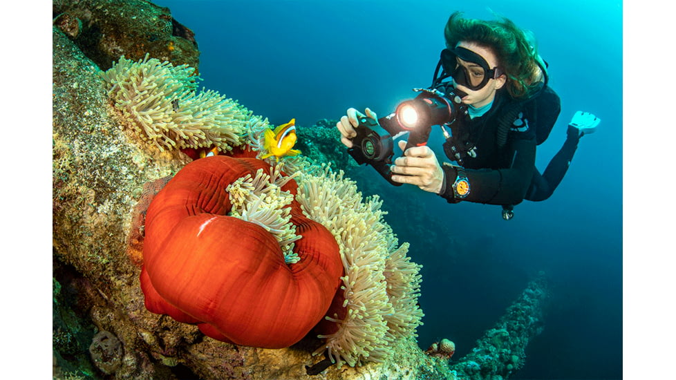 SeaLife Micro 3.0 Pro 3000 Digital Camera Set, Black/Gray/Silver, SL552