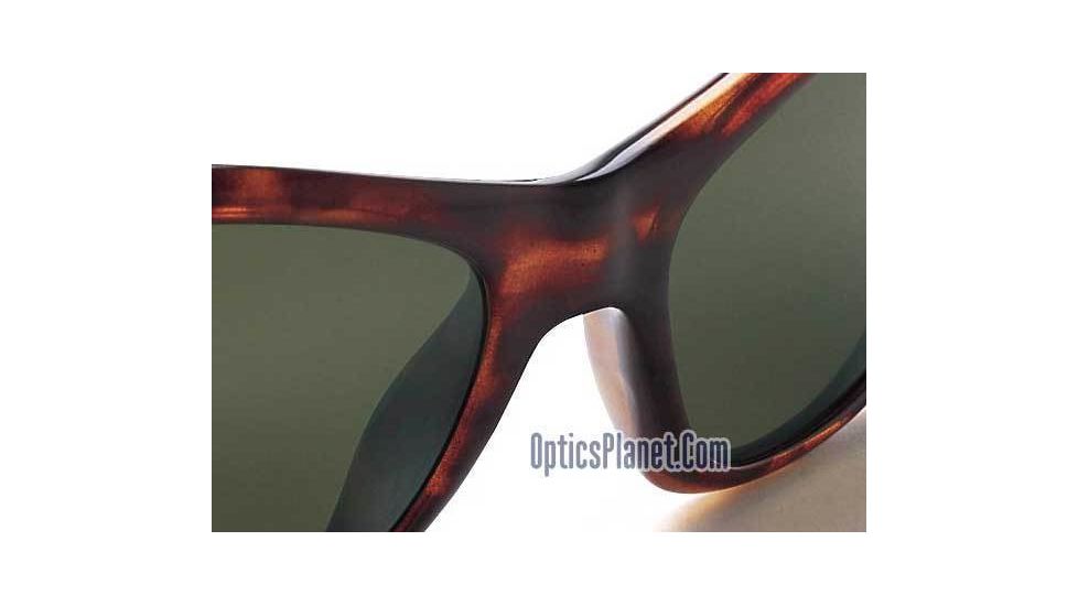 Tortoise Frame