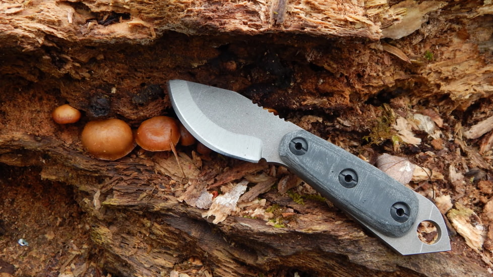 Shed Knives 2023 Skur Fixed Blade Blk Mic