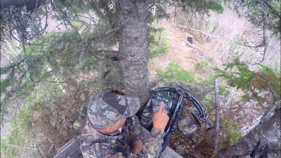 Shooting From a Stand