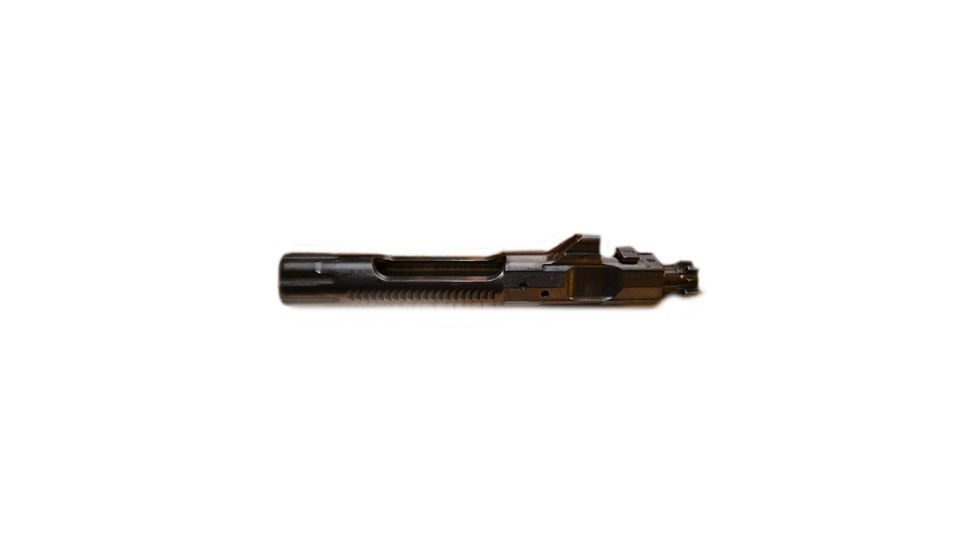 Sig Sauer 10 Pack Bolt Carrier, M400 - 1700522-B