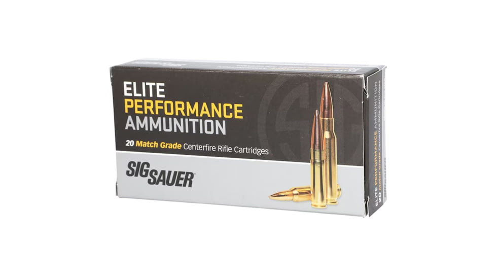 SIG SAUER 300 BLK 110 Grain Tac-TX Brass Cased Rifle Ammo, 20 Rounds, C300D1-20