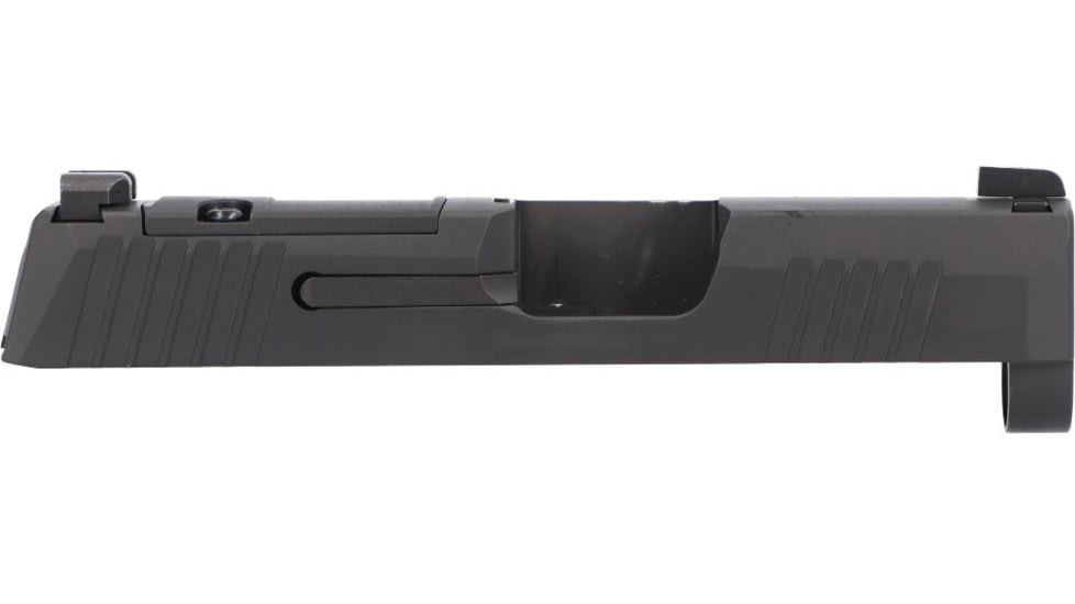 Sig Sauer P365/P365X Stainless Steel/Black Nitron, 8900983 