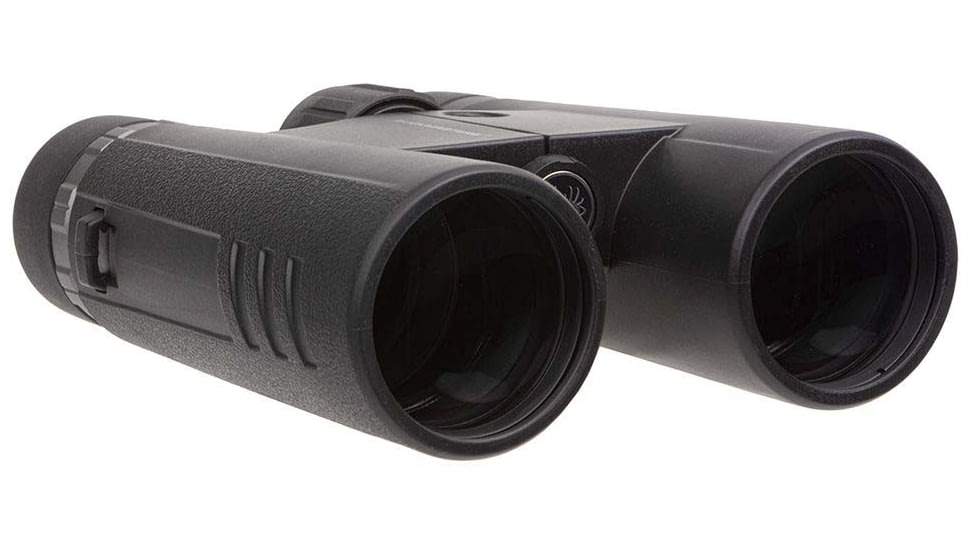 SIG SAUER Buckmaster 10x42mm Roof Prism Binoculars, Black, SOBM10421