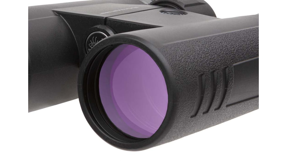 SIG SAUER Buckmaster 10x42mm Roof Prism Binoculars, Black, SOBM10421