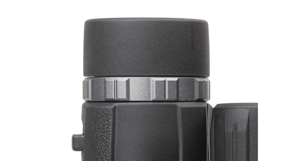 SIG SAUER Buckmaster 10x42mm Roof Prism Binoculars, Black, SOBM10421