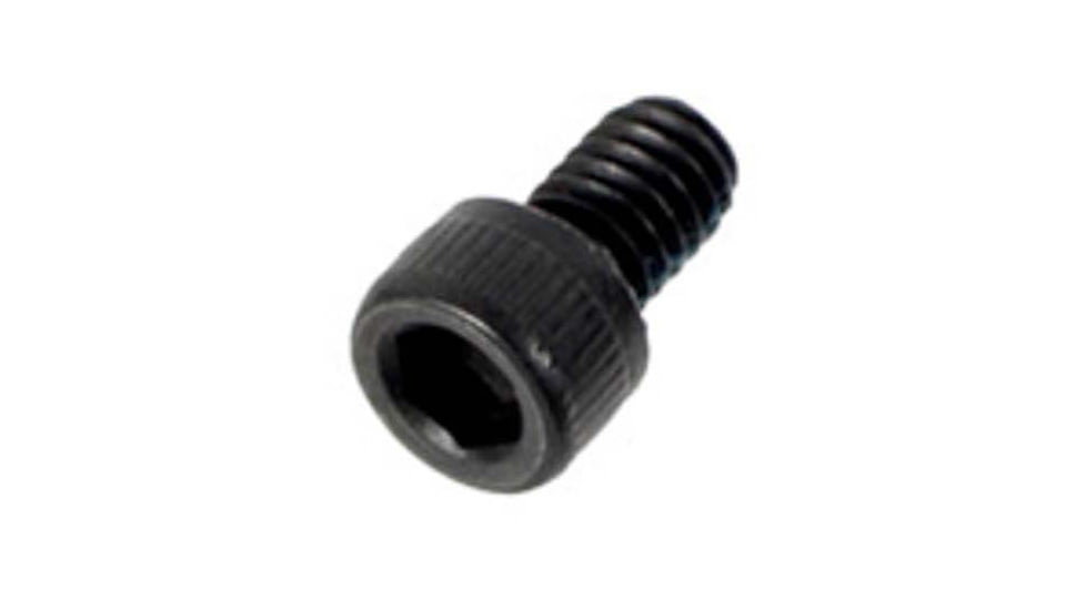 SIG SAUER P320 Sight Plate Mounting Screw, Nylok, 1301783-R