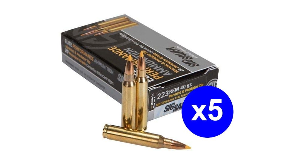 SIG SAUER SIG Hunting Rifle Ammo .223 Remington 40 grain Full Metal Jacket Brass Cased Centerfire Rifle Ammo, 100 Rounds, E223V1-20-KIT1