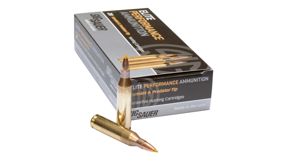 SIG SAUER SIG Hunting Rifle Ammo .308 Winchester 165 grain Controlled Expansion Tip Brass Cased Centerfire Rifle Ammo, 20 Rounds, E308TH2-20