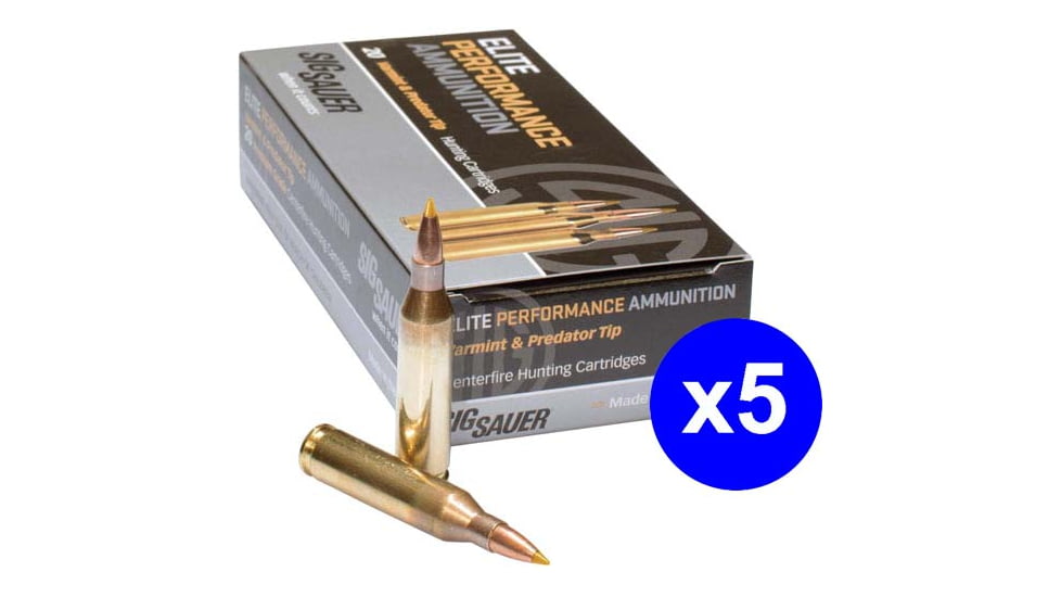 SIG SAUER SIG Hunting Rifle Ammo .308 Winchester 165 grain Controlled Expansion Tip Brass Cased Centerfire Rifle Ammo