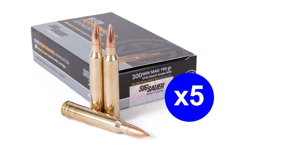 SIG SAUER SIG Match Grade Rifle Ammo .300 Winchester Magnum 190 grain Open Tip Match Brass Cased Centerfire Rifle Ammo