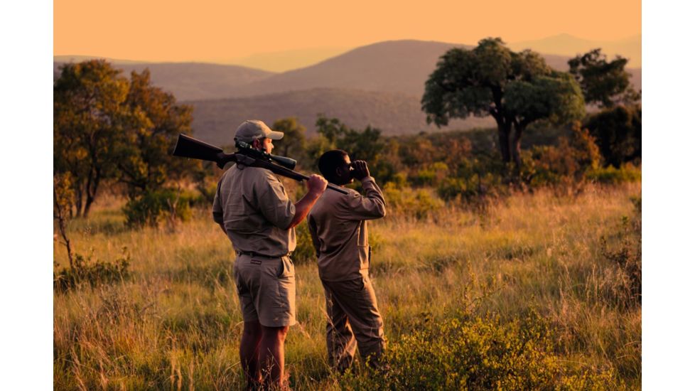 SIG SAUER Whiskey5 3-15x52 30mm Tube Hunting Rifle Scope w/Illuminated Fiber Dot Reticle, 1.0 cm Adjustments, Graphite SOW53004