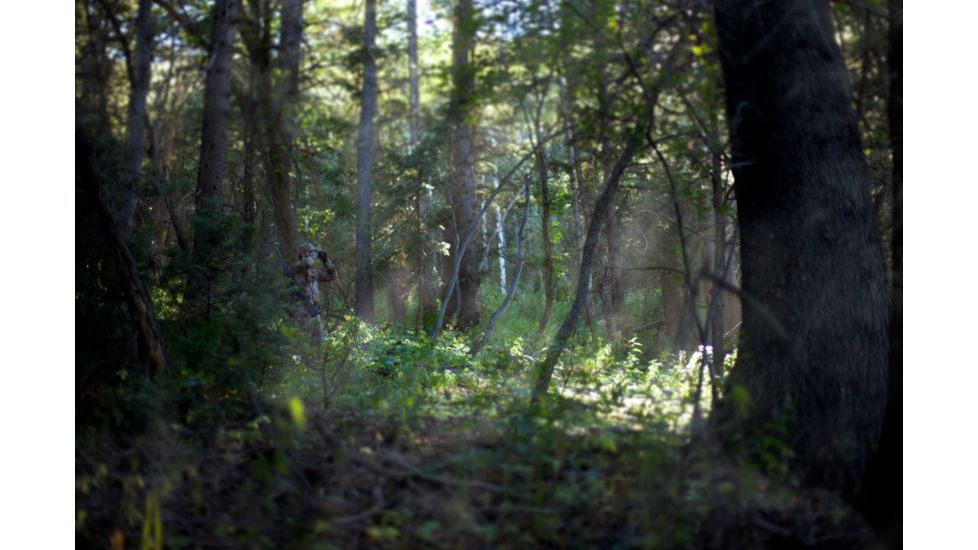 SIG SAUER Zulu3 8x32 Roof Prism Binocular, Graphite SOZ38001