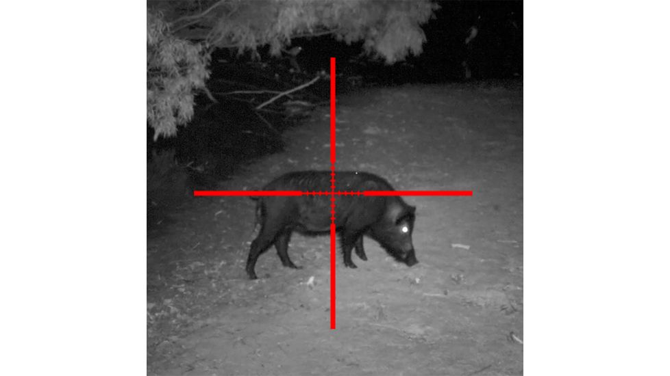 Sightmark Illuminated Photon XT Reticle