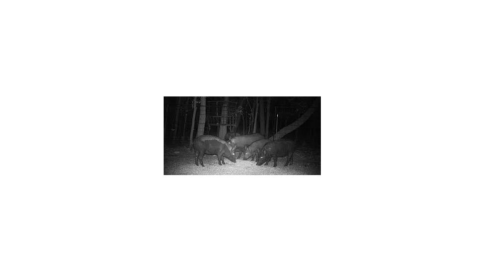 Sightmark Photon XT 6.5x50S Digital Night Vision Rifle Scope SM18009
