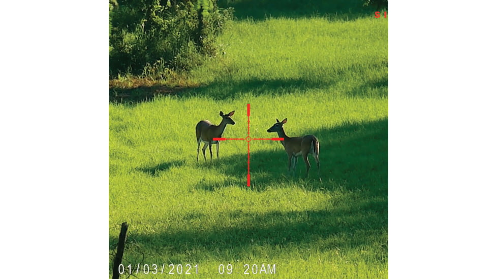 SightMark Wraith 4K Mini Digital Night Vision Rifle Scope, 2-16x32mm, Dual Focal Plane, Multiple Reticles, Black, SM18041