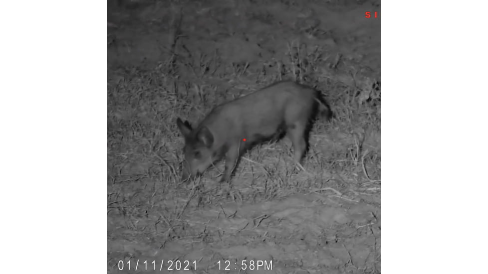 SightMark Wraith 4K Mini Digital Night Vision Rifle Scope, 2-16x32mm, Dual Focal Plane, Multiple Reticles, Black, SM18041