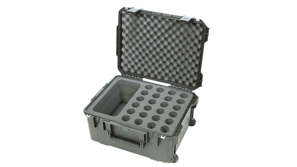 SKB Cases Injection Molded Waterproof Twenty-four Mic Case, Black, 3I-2015-MC24