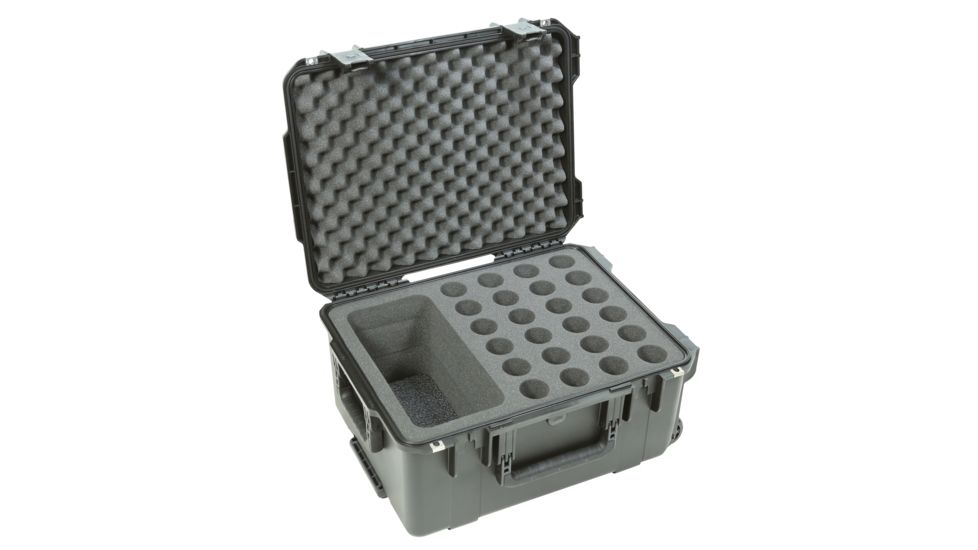 SKB Cases Injection Molded Waterproof Twenty-four Mic Case, Black, 3I-2015-MC24