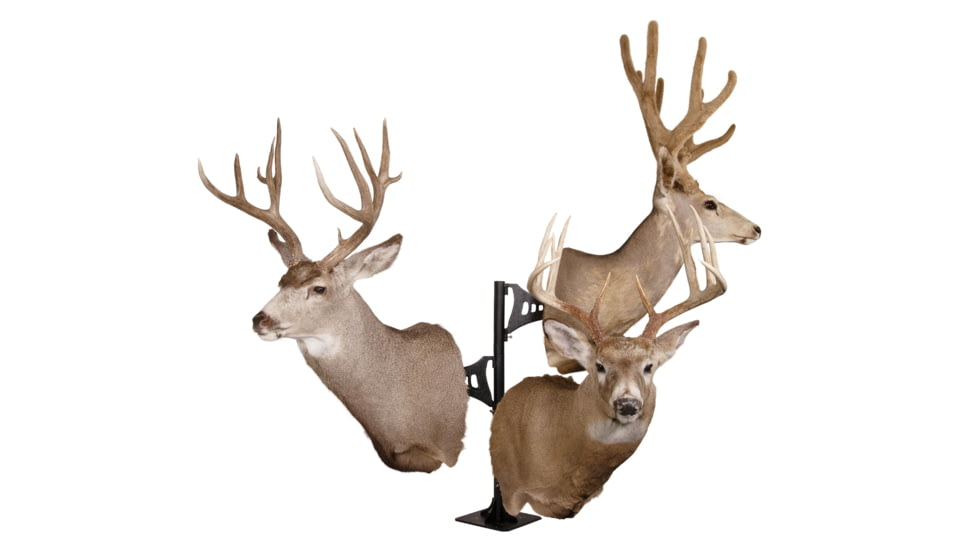 Skull Hooker Trophy Tree Shoulder Pedestal Mount, Black, SKH-STTSM-BLK