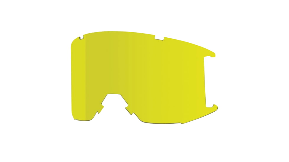 Smith Squad Goggle