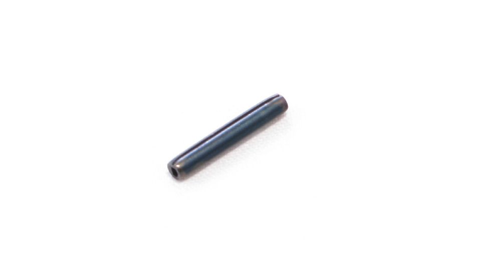 FWD ASSIST SPRING PIN (10)