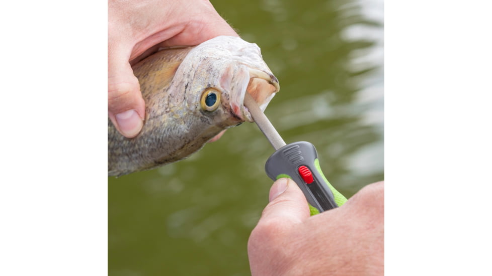 Smiths Mr. Crappie Fish Pick And Hook Sharpener, Green, SP-51195