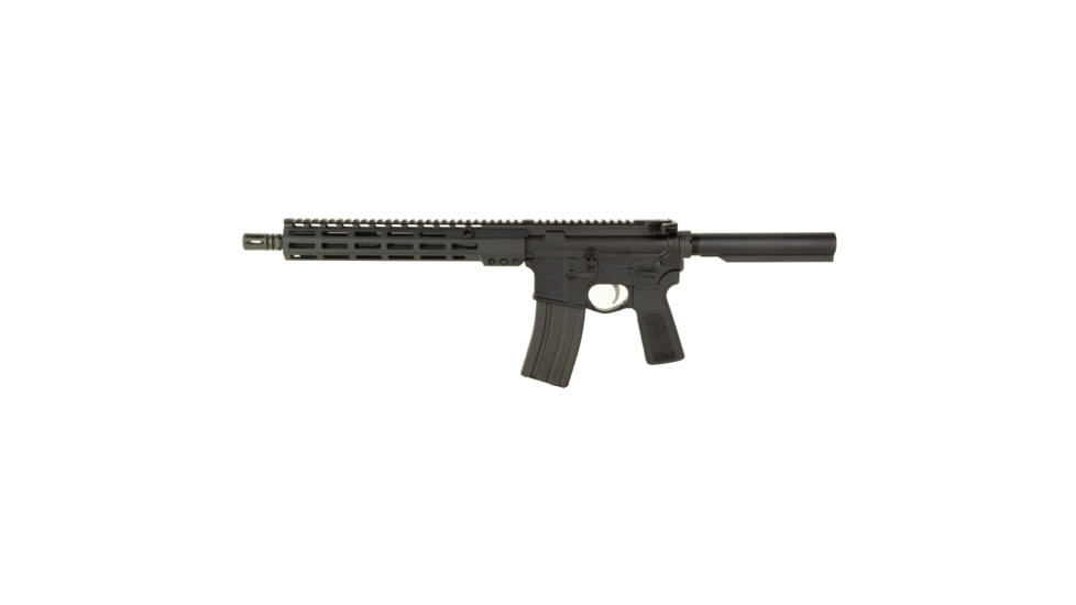 Sons of Liberty Gun Works L89