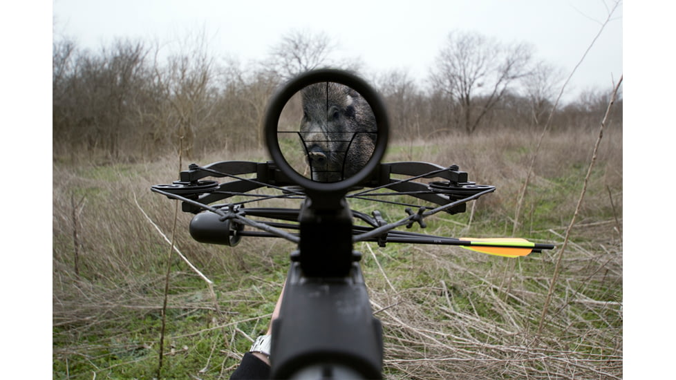 Southern Crossbow Risen XT, 350 Package, SC73001