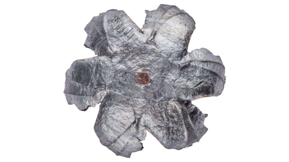 Speer Gold Dot Personal Protection .40 S&amp;W 165 Grain Gold Dot Hollow Point Centerfire Pistol Ammo, 20 Rounds, 23970GD