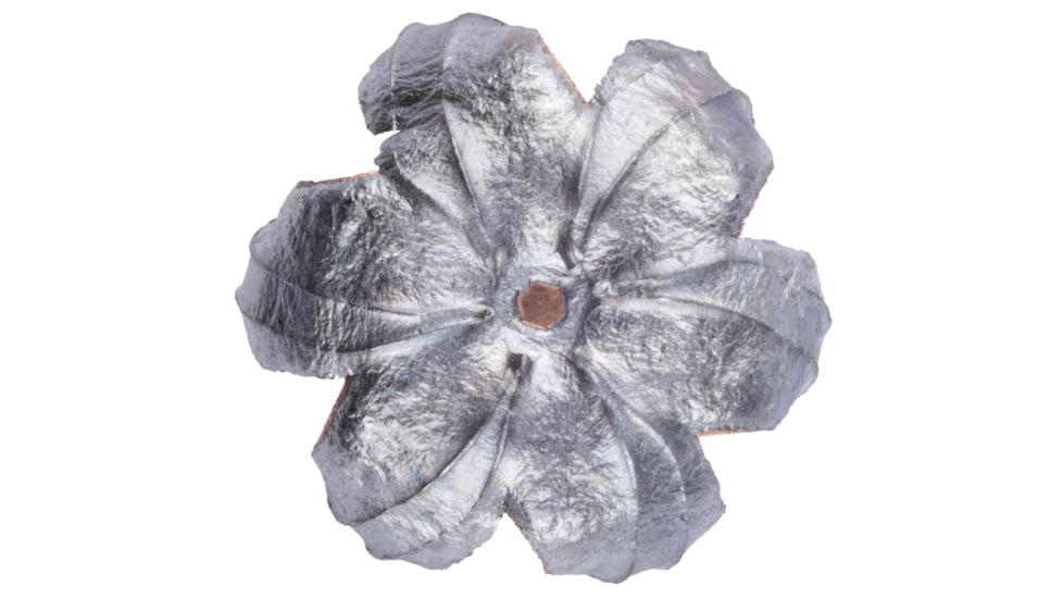 Speer Gold Dot 9 mm Luger 147 Grain Gold Dot Hollow Point Centerfire Pistol Ammo, 20 Rounds, 23619GD