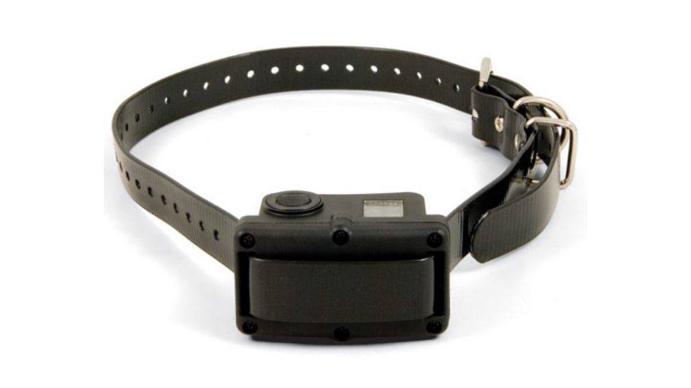 SportDOG Bark Control Collar, For Dogs 8lbs and Up/Fits Neck Size 6-28in, Black SBC-10R