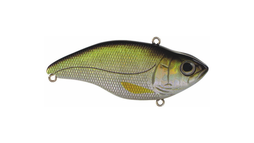 Spro Aruku Shad 75 Lipless Rattle Crankbait, Sinking, Wild Shiner, 3in, 5/8oz, SAS75WSR