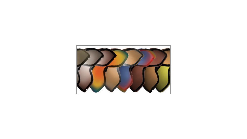 Spy Optic Omega Ski &amp; Snowboard Goggle Replacement Lenses