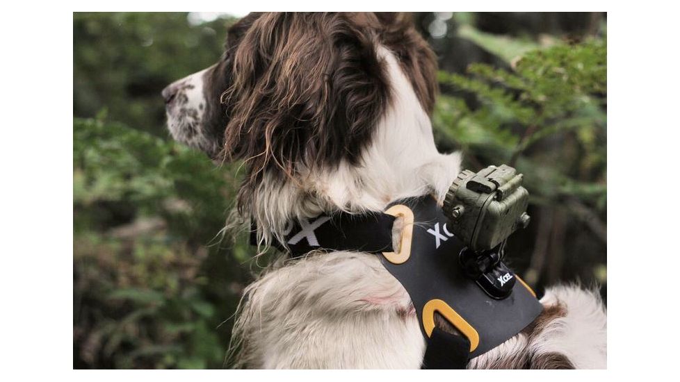 Spy Point Xcel Action Camera Dog Mount, Black XHD-DOG