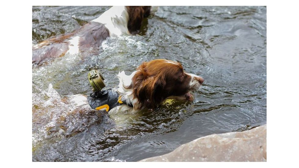 Spy Point Xcel Action Camera Dog Mount, Black XHD-DOG