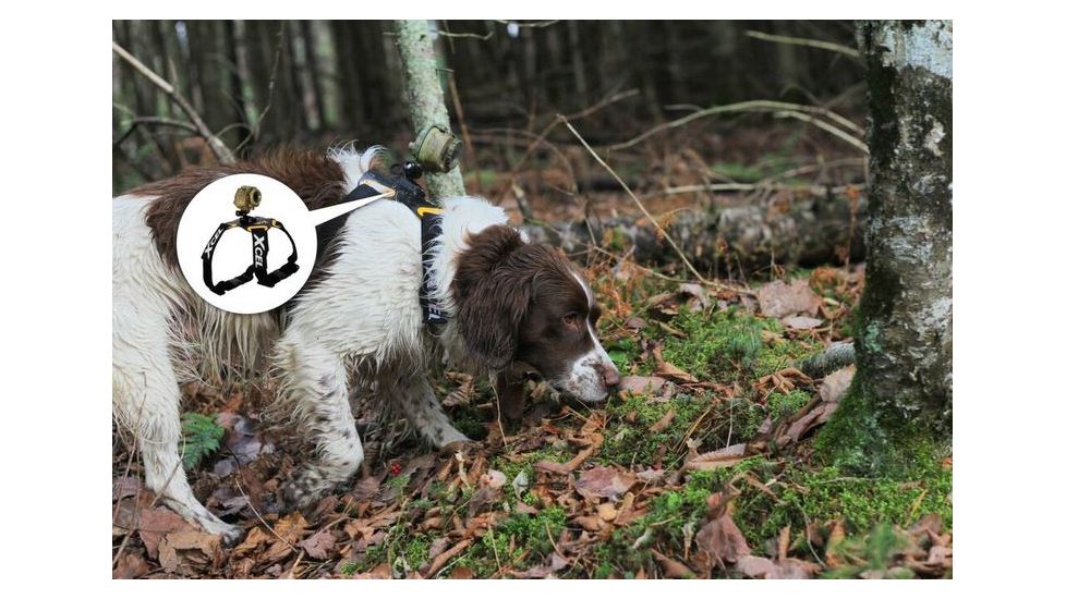 Spy Point Xcel Action Camera Dog Mount, Black XHD-DOG