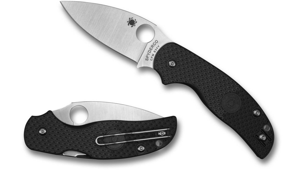 Spyderco Alzheimers Lightweight Sage 5 Folding Knife, Black, C123PBK