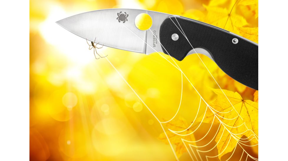 Spyderco Efficient Folding Knife, 3in, 8Cr13MoV, Leaf Blade, Fiberglass-Reinforced Nylon, Black Handle, C216GP